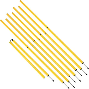 Agility Slalom Poles with Spike