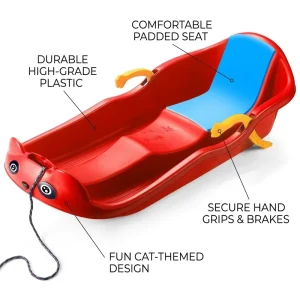 All Terrain Multifunctional Ski Board For Grass Sand Snow Inflatable Design Ideal For Adults Beginner Practice and Sale