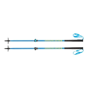 Blackcrows Style Ski Poles China OEM Factory High Quality Carbon Fiber Ski Pole Cross Country Ski Pole