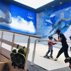 Commercial Indoor Ski Simulator for Ski Schools & Mall Training Centers for Oversea Customers