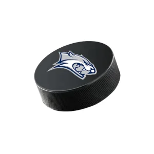 Custom Any Logo Ice Hockey Pucks High Grade Pucks