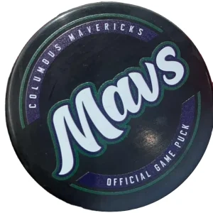Custom High Performance Ice Hockey Equipment with Durable Silicone Rubber Puck
