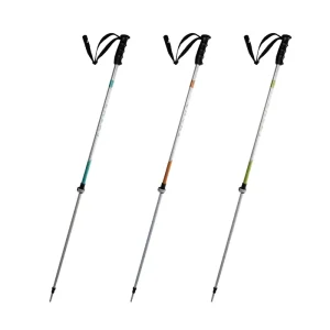 Custom Logo Aluminum Buckle Strap Fast Lock Alpine Ski Pole