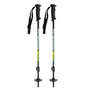 High Quality Carbon Fiber Ski Poles Nordic Dryland Sliding Sticks Alloy Aluminum Sold in Europe and America