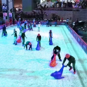 Ice Skating Aid Sled