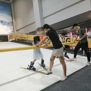 Indoor Snowboard Ski Equipment Grass Ski Equipment