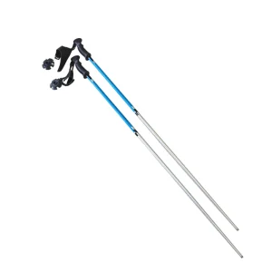Manufacturer Aluminum Alloy Alpine Ski Poles, Rubber Grip, Colorful Design