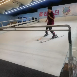 Manufacturer Indoor Synthetic-Surface Treadmill Ski Simulator Machine