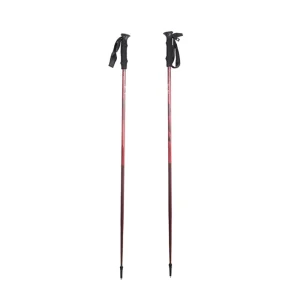 Manufacturer Supply Ski Pole Factory Customized Aluminum Alloy 6061 Poles EVA Grip