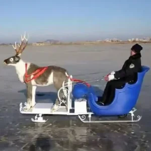 Moose Pulling Snow Sled for Children and Adults