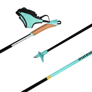OEM Carbon Fiber Ski Poles Ultralight Lightweight Nordic Alpine Ski Pole Custom Logo EVA Handle For Professional Ski Player