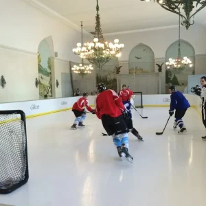 ON SALES Low Price Mini Ice Rink Build Easily Ice Rink with Skate Able Synthetic Ice Tiles Hockey Equipment