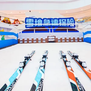 Portable Foldable Indoor Ski Machine Endless Skiing Simulator with Wheels for Home Gym and Commercial Studio