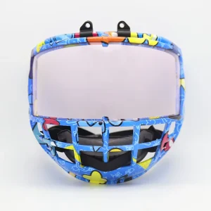 Professional Junior Ice Hockey Protective Gear Replaceable Goggles Visor with Junior Ice Hockey Equipment