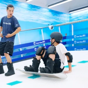 Ski Simulator Machine ASNH S 0403 Indoor for Shopping Mall