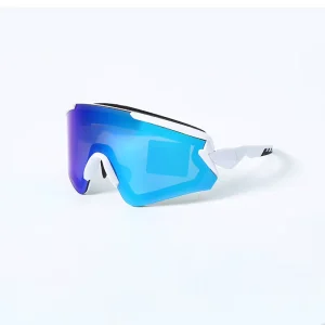 Ski Sports Glasses Windproof Protective Snow Sunglasses