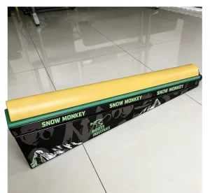 Ski Training Machine for Skill and Balance Training