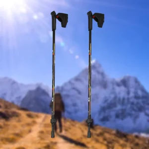 Two-Section Aluminum Alloy Double-Board Multifunctional Ski Poles for Couples